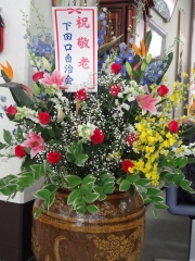 B986f8ae20.jpg